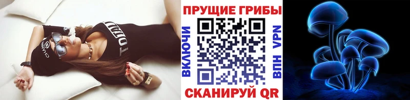 Псилоцибиновые грибы мицелий  Купить закладки  Шатура 